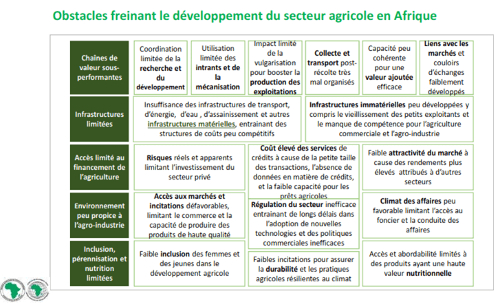 obstacle-freinant-le-developpement-du-secteur-agricole-en-afrique