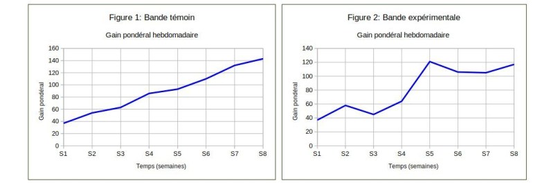 graphes: gain pondéral hebdomadaire des poussins