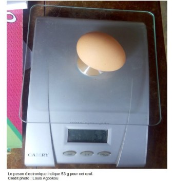 pesées des oeufs 2