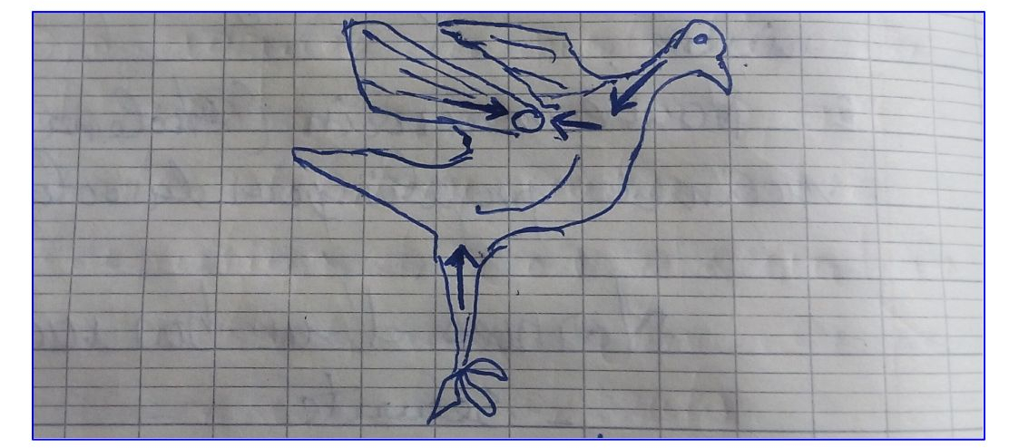 point et sens des injections