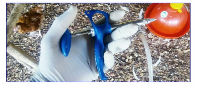 seringue automatique_echec vaccinal_8